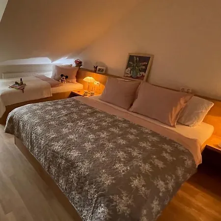 Basta & Wellness Apartment Sušice