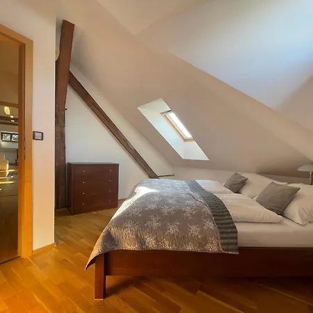 Apartment Basta & Wellness Sušice