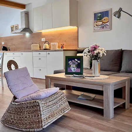 Basta & Wellness Lejlighed Sušice