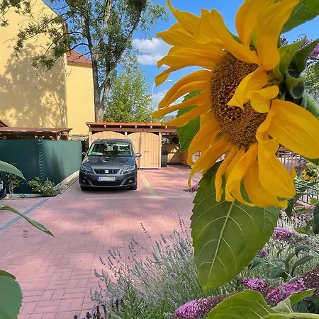 Basta & Wellness Appartement *