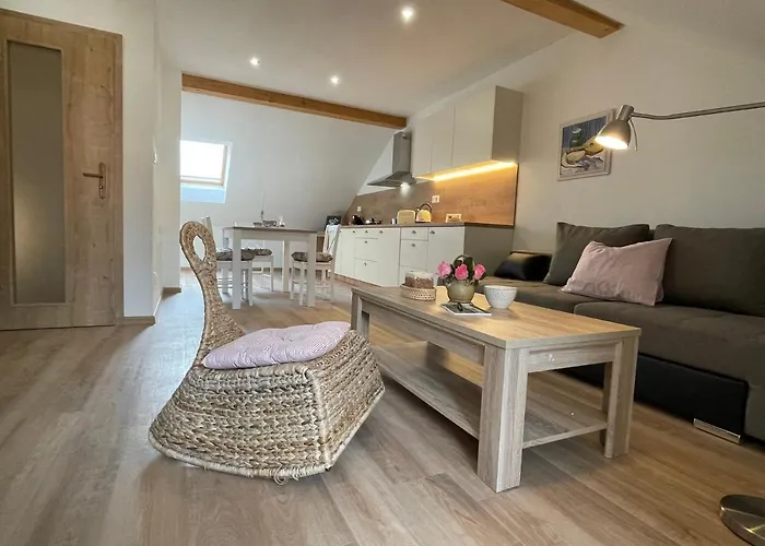 Basta & Wellness Apartament